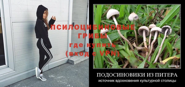 амф Баксан